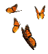Hypnosis for Anxiety - Orange Butterflies