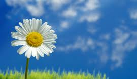 Hypnosis - Debunking the Myths