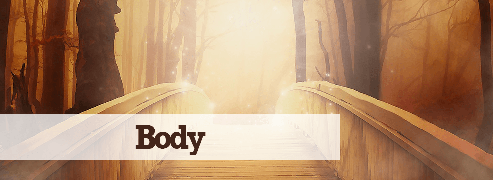 Body Body