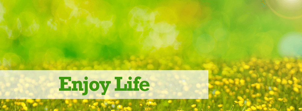 Enjoy Life Enjoy Life