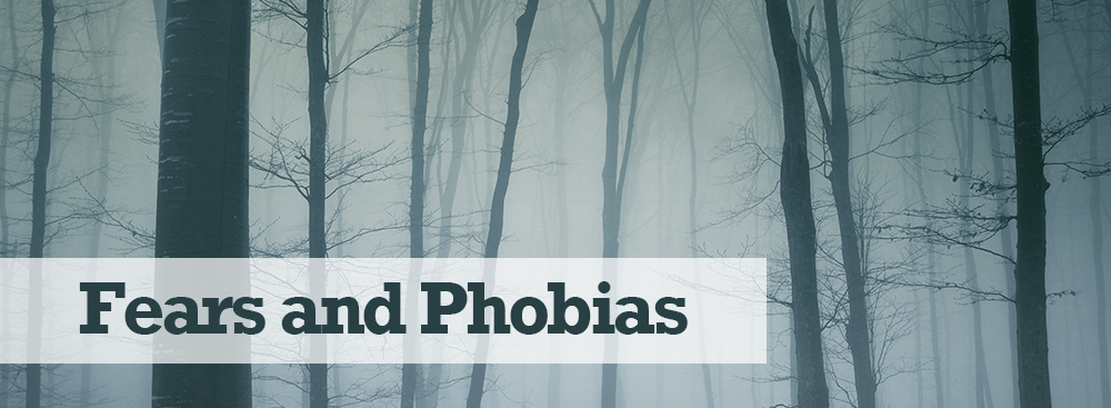Fears and Phobias Fears and Phobias