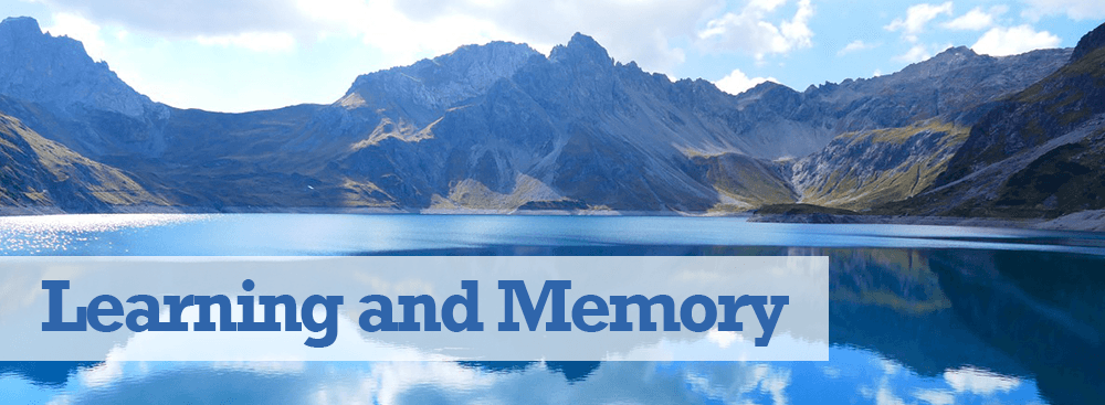 Learning and Memory Learning and Memory
