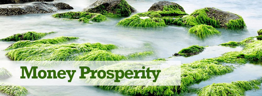 Money Prosperity