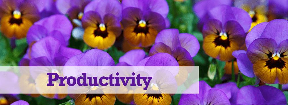 Productivity