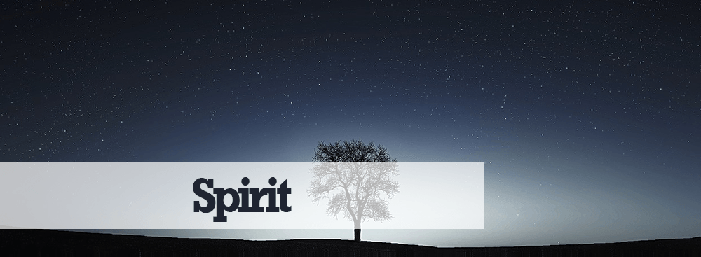 Spirit Spirit