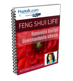 Feng Shui Life - Script