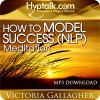 How to Model Success (NLP) Meditation