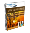 Muscle Building - Script