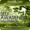 Self Awareness Meditation